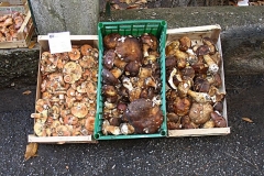 Funghi mercato di Camigliatello
